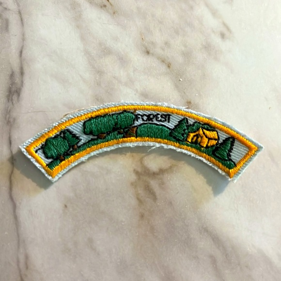 Cub Scouts Webelos Pinewood Derby Activity Pins Medal - Picture 6 of 10